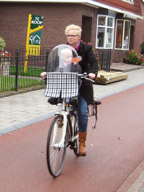 A woman rides her bike along a cycle path in the Netherlands, her toddler in a seat behind the handlebars. The child is drinking from a bottle.