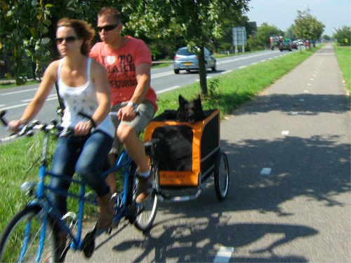 A young couple riding a tandem on a Dutch cycle path. A large dog is sat in a trailer attached to the back of the bike.