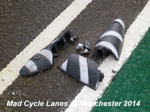 An armadillo which has been smashed by motor vehicles.